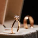 Close-up of the wedding rings of the bride and groom in a box